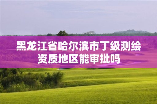 黑龙江省哈尔滨市丁级测绘资质地区能审批吗