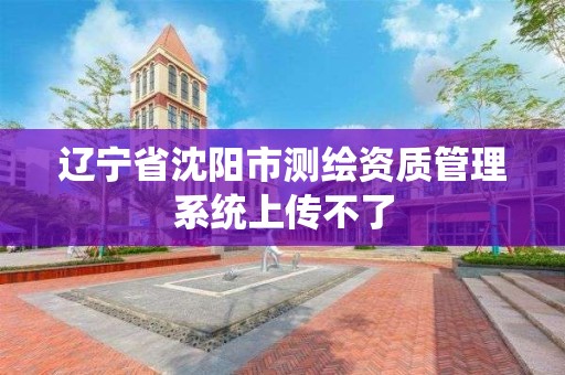 辽宁省沈阳市测绘资质管理系统上传不了