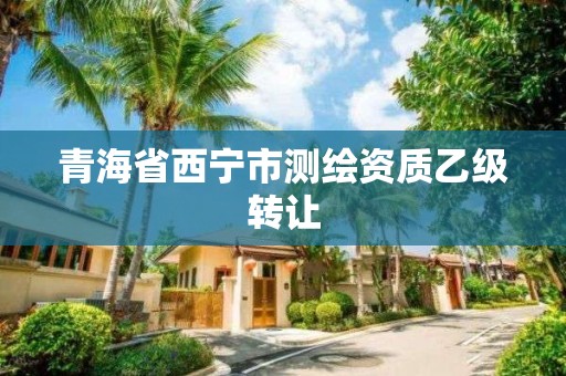 青海省西宁市测绘资质乙级转让