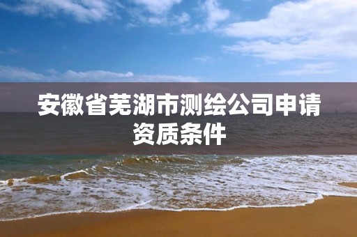 安徽省芜湖市测绘公司申请资质条件