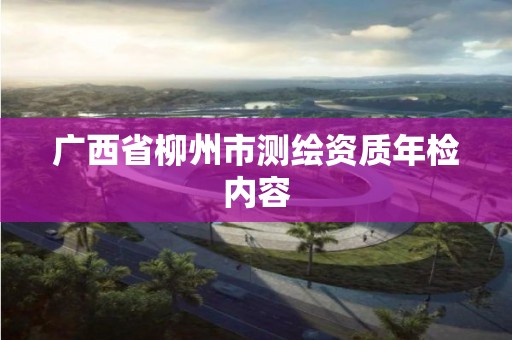 广西省柳州市测绘资质年检内容