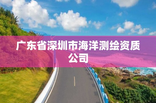 广东省深圳市海洋测绘资质公司