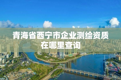 青海省西宁市企业测绘资质在哪里查询