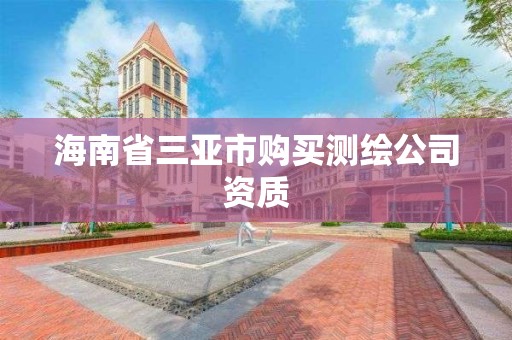 海南省三亚市购买测绘公司资质