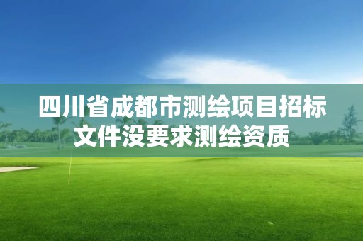 四川省成都市测绘项目招标文件没要求测绘资质