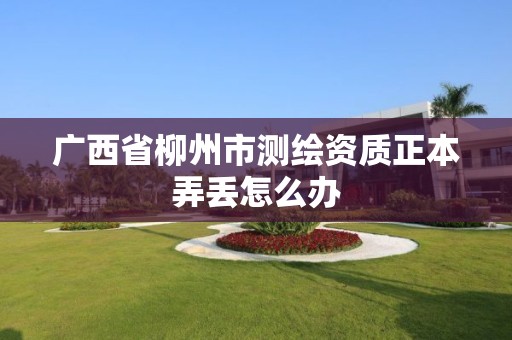 广西省柳州市测绘资质正本弄丢怎么办