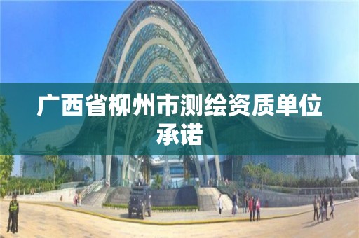 广西省柳州市测绘资质单位承诺