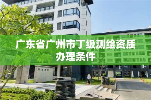 广东省广州市丁级测绘资质办理条件