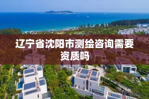 辽宁省沈阳市测绘咨询需要资质吗