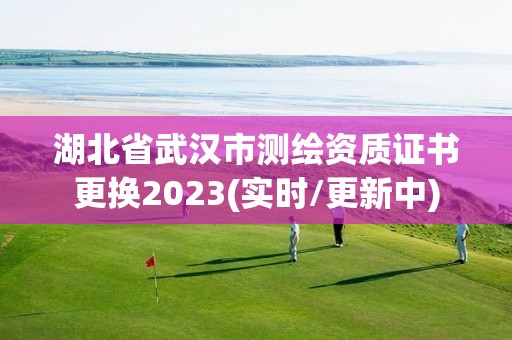 湖北省武汉市测绘资质证书更换2023(实时/更新中)