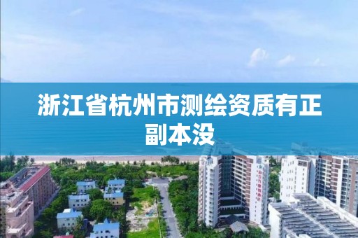 浙江省杭州市测绘资质有正副本没