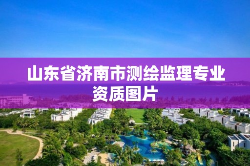 山东省济南市测绘监理专业资质图片