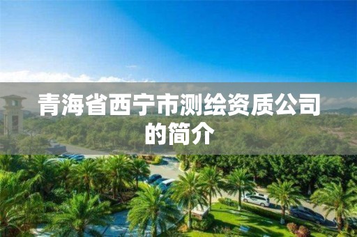 青海省西宁市测绘资质公司的简介