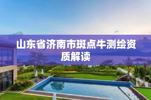 山东省济南市斑点牛测绘资质解读