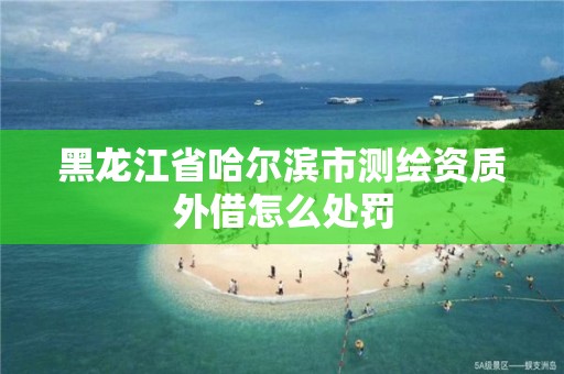 黑龙江省哈尔滨市测绘资质外借怎么处罚