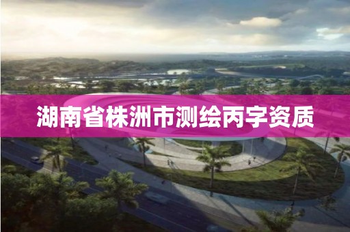 湖南省株洲市测绘丙字资质