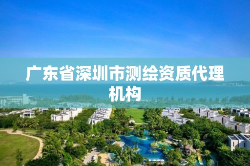 广东省深圳市测绘资质代理机构