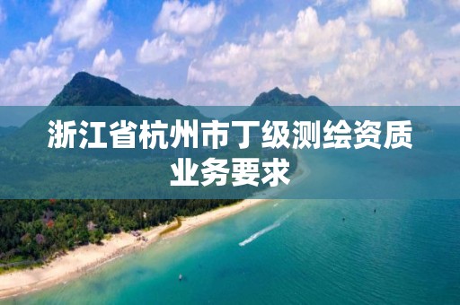 浙江省杭州市丁级测绘资质业务要求