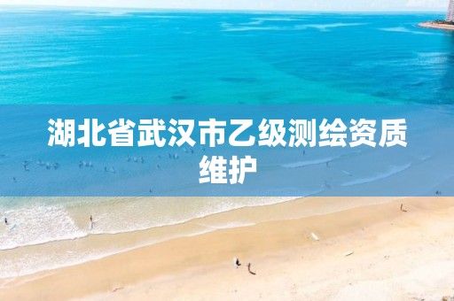 湖北省武汉市乙级测绘资质维护