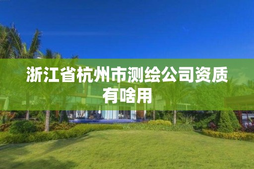 浙江省杭州市测绘公司资质有啥用