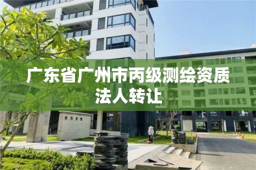 广东省广州市丙级测绘资质法人转让