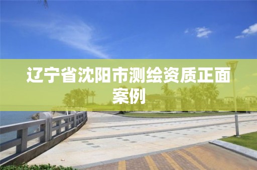 辽宁省沈阳市测绘资质正面案例