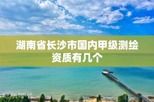 湖南省长沙市国内甲级测绘资质有几个