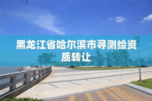 黑龙江省哈尔滨市寻测绘资质转让