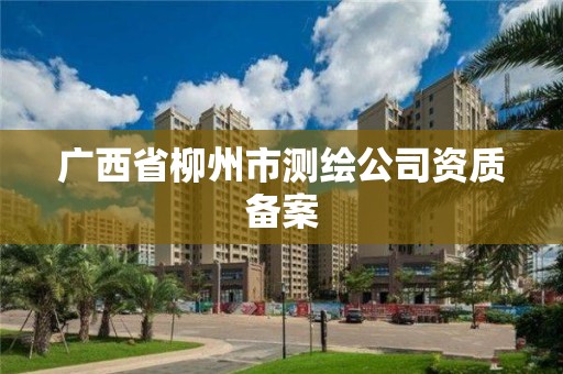 广西省柳州市测绘公司资质备案