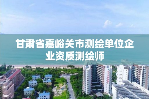 甘肃省嘉峪关市测绘单位企业资质测绘师