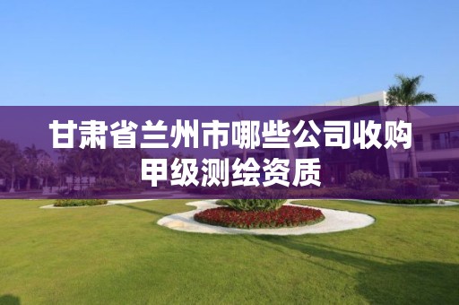 甘肃省兰州市哪些公司收购甲级测绘资质