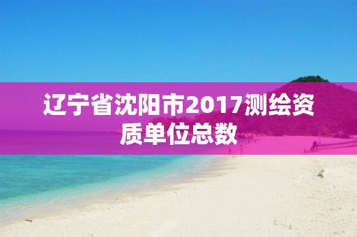 辽宁省沈阳市2017测绘资质单位总数