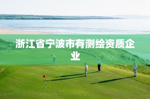 浙江省宁波市有测绘资质企业