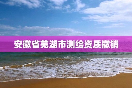 安徽省芜湖市测绘资质撤销