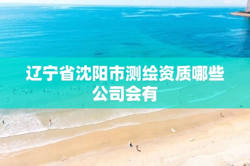 辽宁省沈阳市测绘资质哪些公司会有