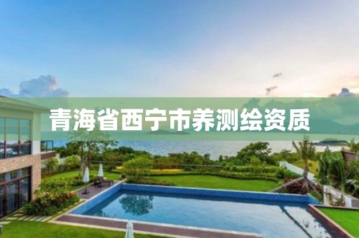 青海省西宁市养测绘资质