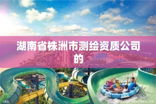 湖南省株洲市测绘资质公司的