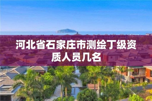 河北省石家庄市测绘丁级资质人员几名