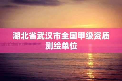 湖北省武汉市全国甲级资质测绘单位