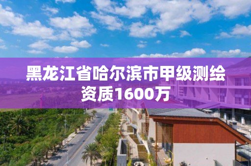 黑龙江省哈尔滨市甲级测绘资质1600万