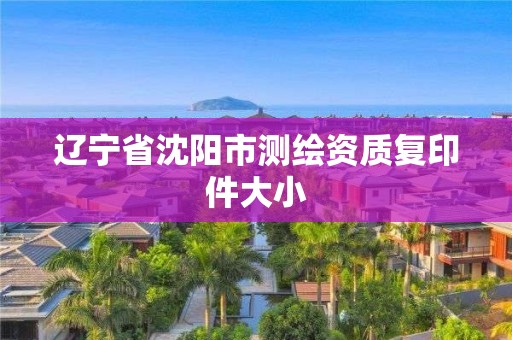 辽宁省沈阳市测绘资质复印件大小