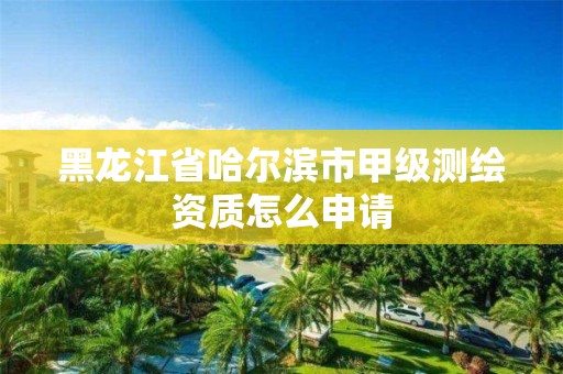 黑龙江省哈尔滨市甲级测绘资质怎么申请