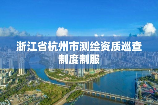 浙江省杭州市测绘资质巡查制度制服