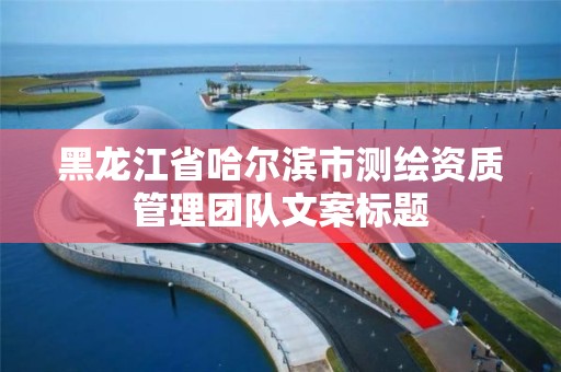 黑龙江省哈尔滨市测绘资质管理团队文案标题