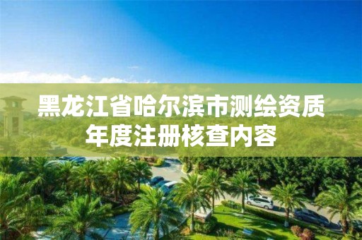 黑龙江省哈尔滨市测绘资质年度注册核查内容