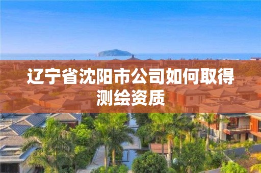 辽宁省沈阳市公司如何取得测绘资质