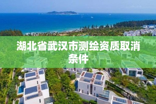 湖北省武汉市测绘资质取消条件