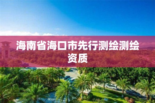 海南省海口市先行测绘测绘资质