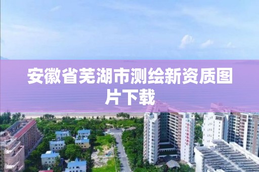 安徽省芜湖市测绘新资质图片下载