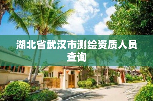 湖北省武汉市测绘资质人员查询